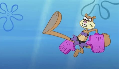 spongebob sandy cheeks|sandy cheeks personality.